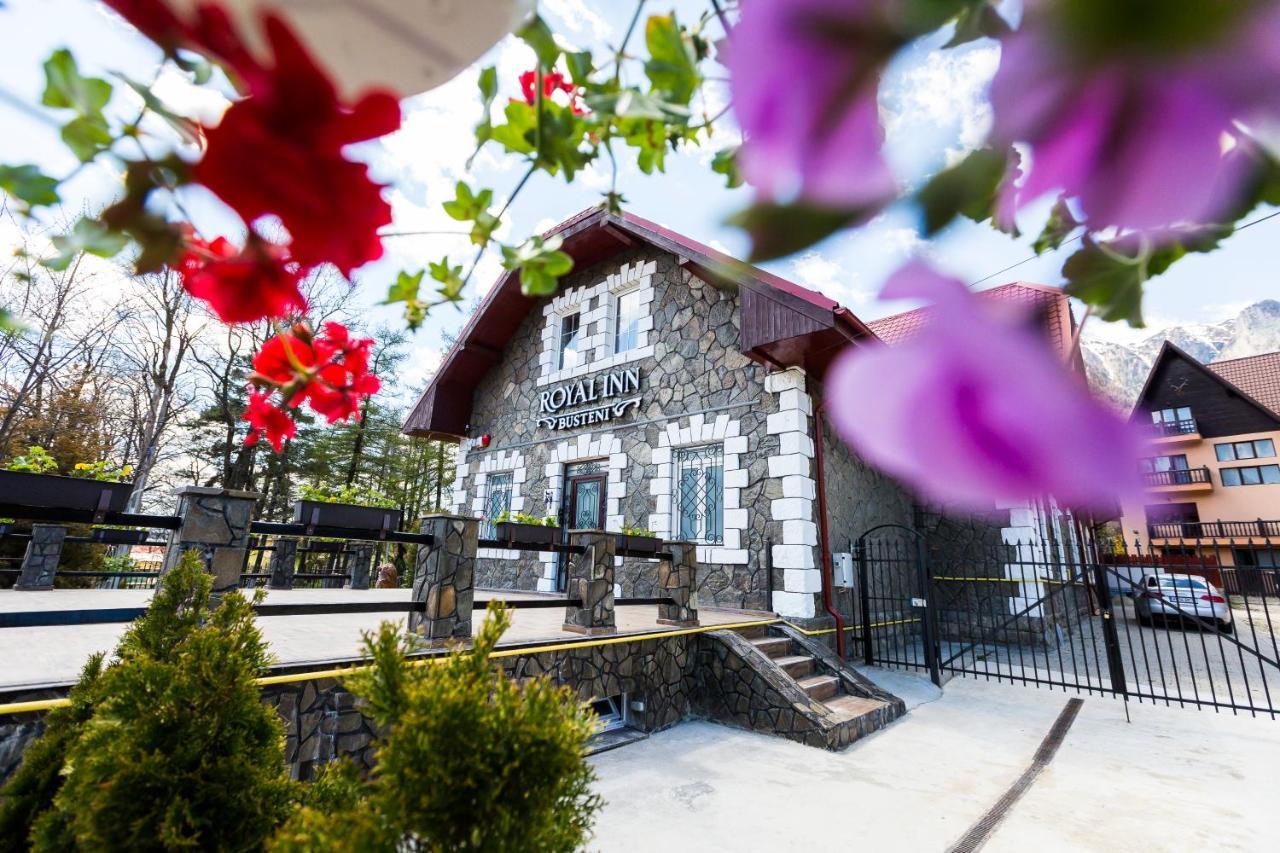 Royal Inn Busteni-Adults Only Экстерьер фото