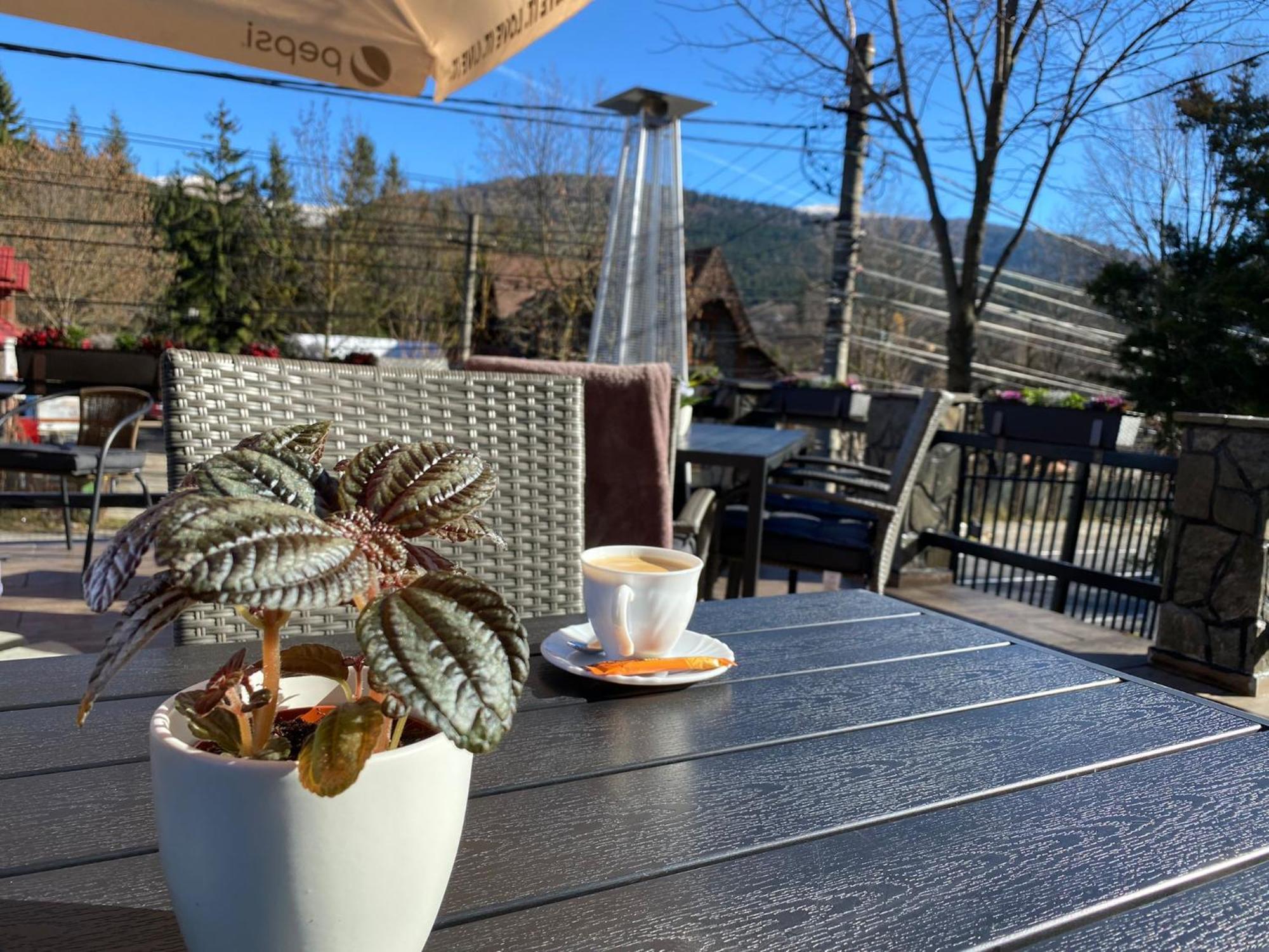 Royal Inn Busteni-Adults Only Экстерьер фото